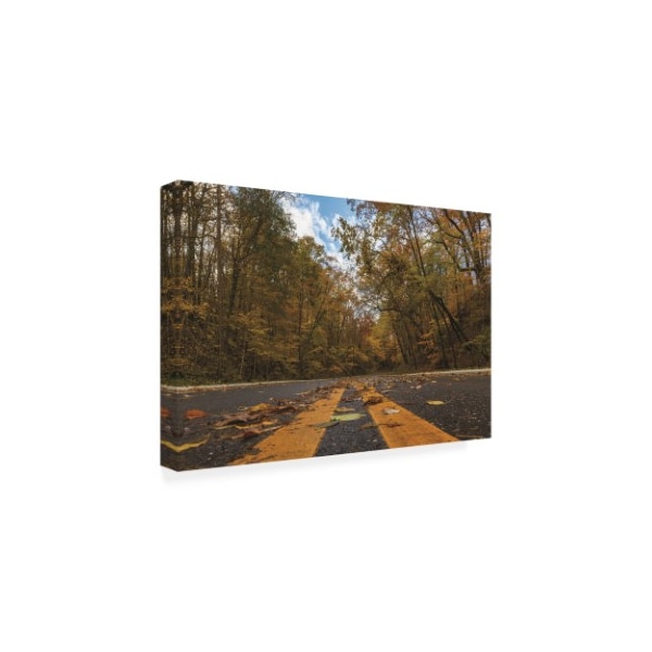 Kurt Shaffer Photographs 'Follow The Yellow Leaf Road' Canvas Art,12x19